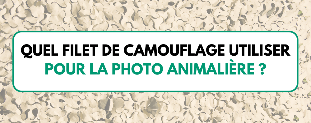 Quel filet de camouflage utiliser pour la photographie animalière ?